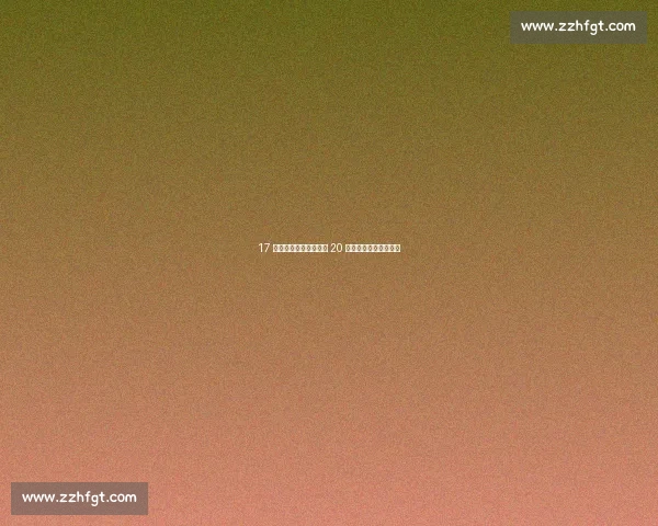 17 岁新星魏祥鑫德转身价 20 万欧：中国锋线新希望