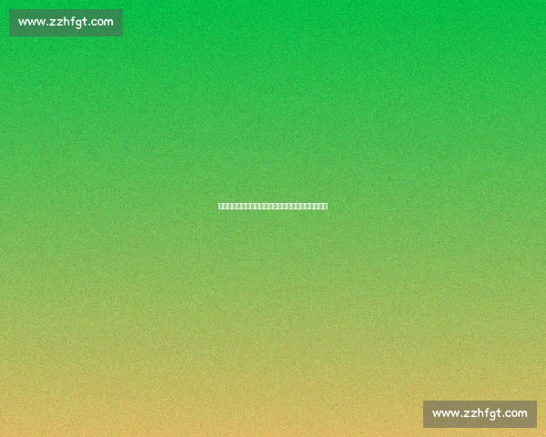特瓦斯：巴萨需精简阵容完成注册，盛赞皇马引援潜力