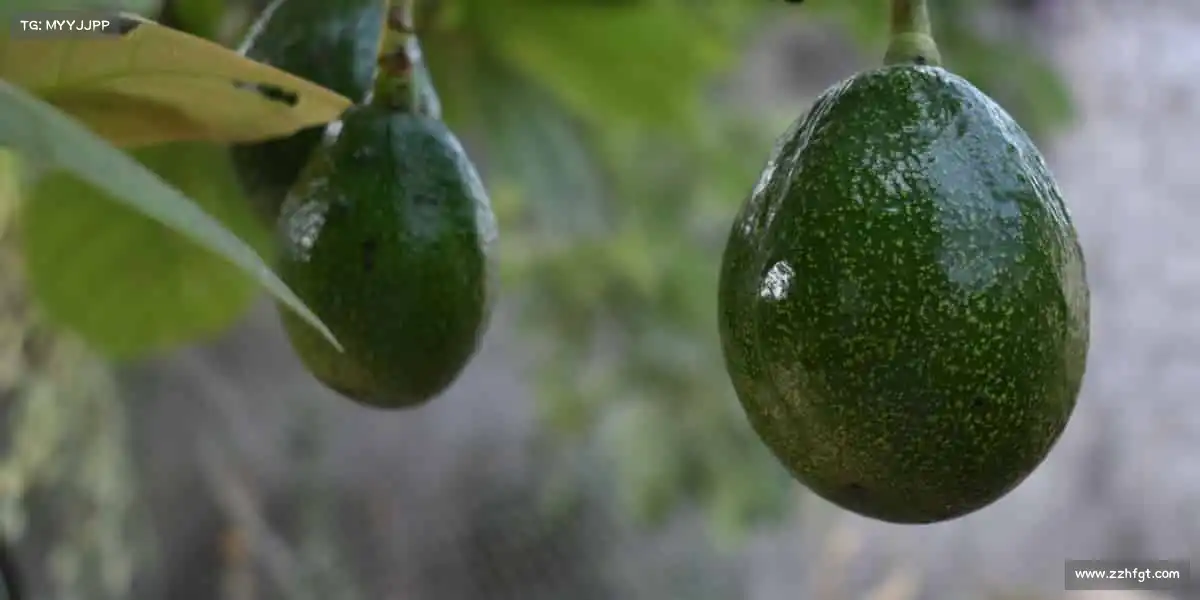 行业领先的理由